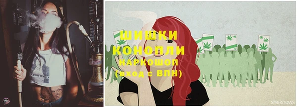 шишки Новокубанск