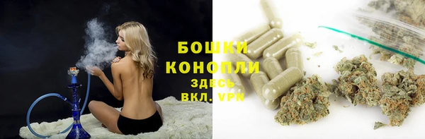 шишки Новокубанск