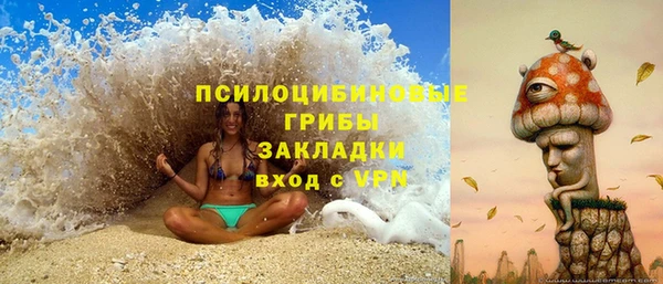 шишки Новокубанск