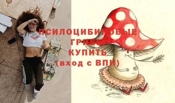 гидра Тихвин