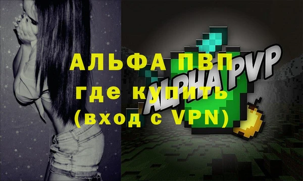 шишки Новокубанск