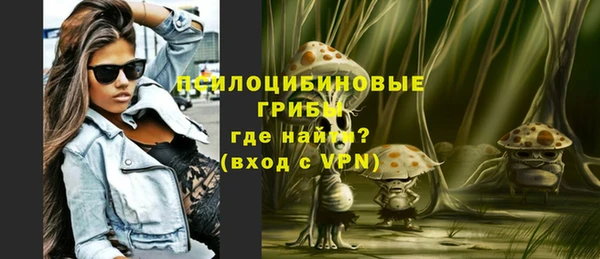 шишки Новокубанск
