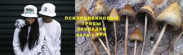 скорость mdpv Новозыбков